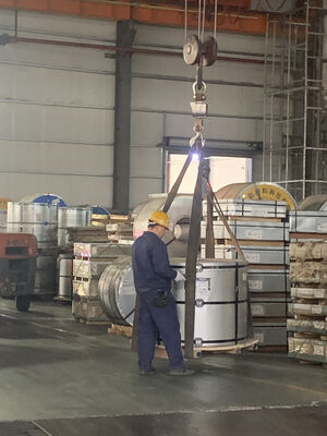 SPTE Electrolytic Tinplate for Food Cans with 0.15-0.50mm Thickness and Customized Tin Coating