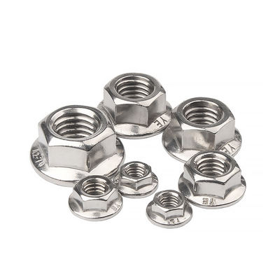 Stainless Steel Hex Nut/Flange Nut/Hex Nylon Lock Nut/Spring Nut/Eye Nut/Acron Nut/T Nut with High Quality