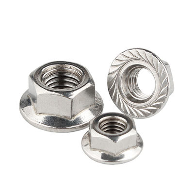 Stainless Steel Hex Nut/Flange Nut/Hex Nylon Lock Nut/Spring Nut/Eye Nut/Acron Nut/T Nut with High Quality